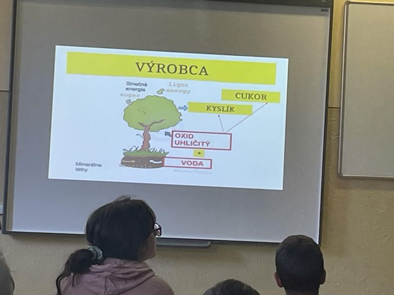 Aktivity školy&nbsp;- ZŠ s&nbsp;MŠ Jozefa Ligoša Chlebnice